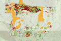 Mato Grosso tem 23% do território cobiçado por mineração e garimpo legais